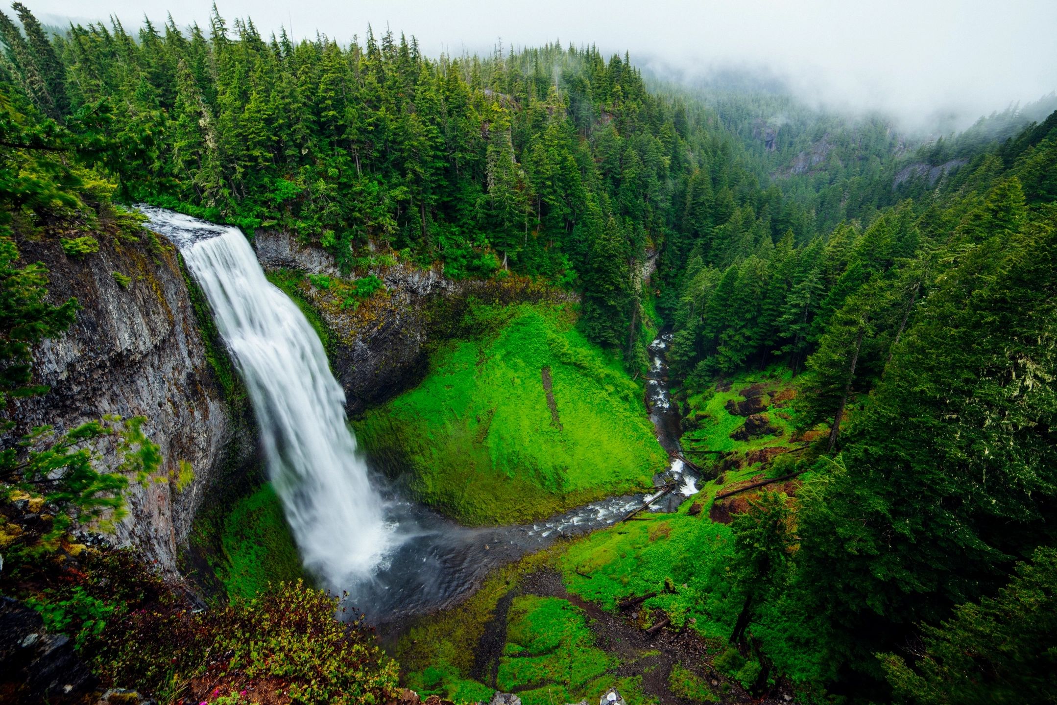 Monastery of Herbs (Esoteric Herbalism & Vibrational Therapy): Natural Forest with Waterfall